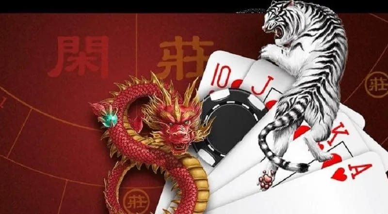 Rồng hổ ZOWIN có gì?